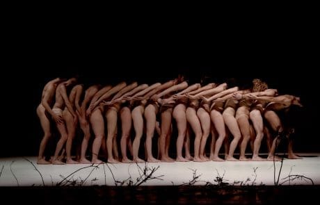 LunaCenere_Radici del Corpo_ph.Dario Bonazza